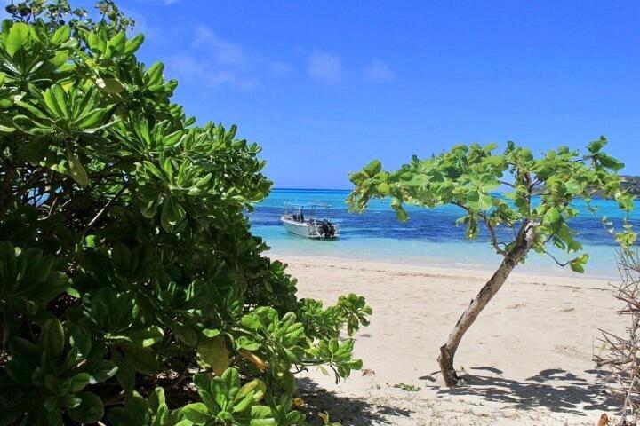 Coconut Beach Resort Tavewa Island Exterior photo