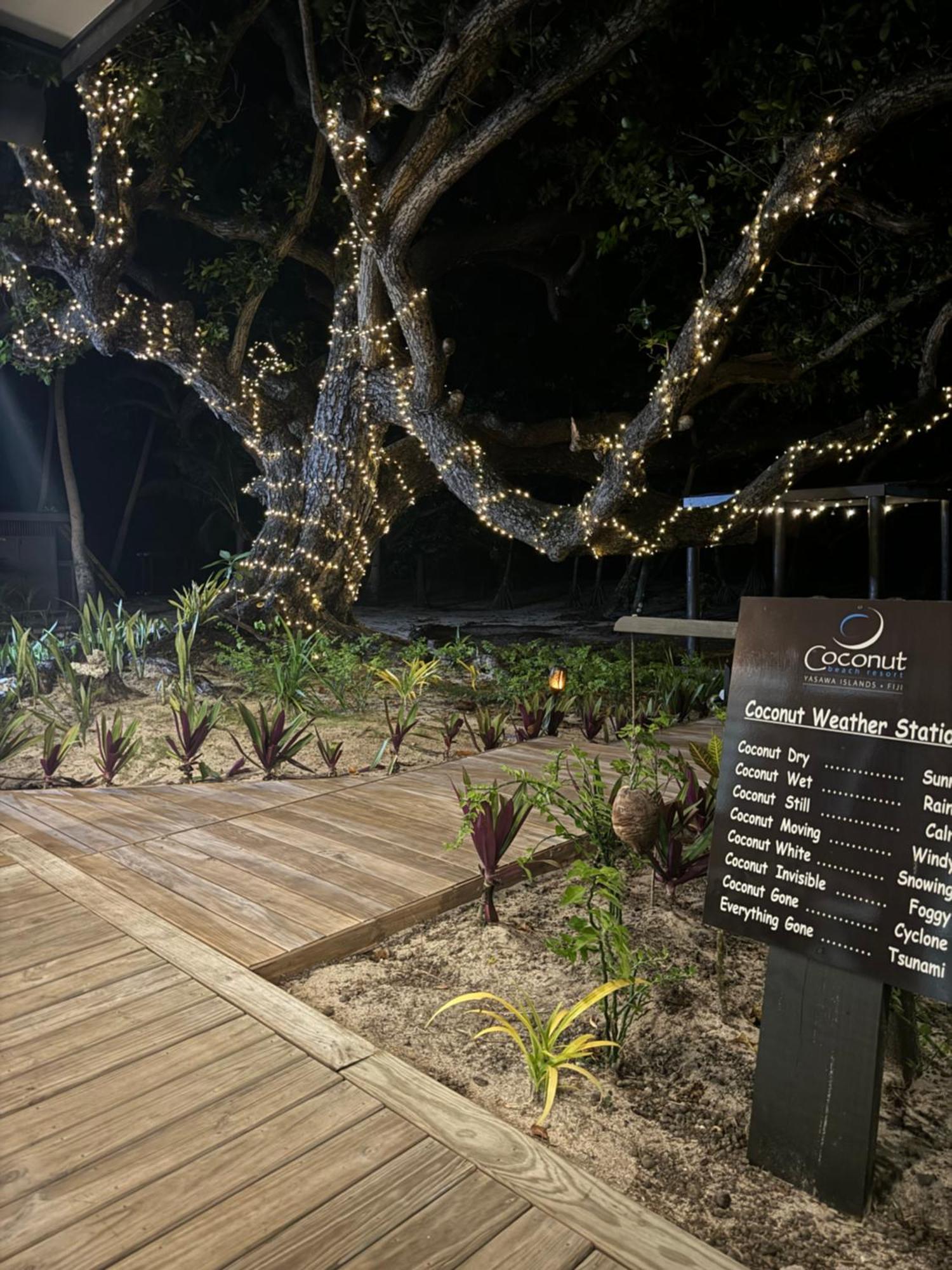 Coconut Beach Resort Tavewa Island Exterior photo
