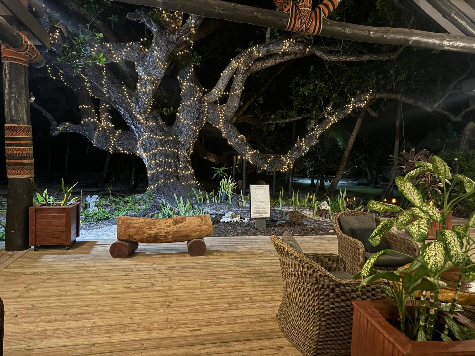 Coconut Beach Resort Tavewa Island Exterior photo